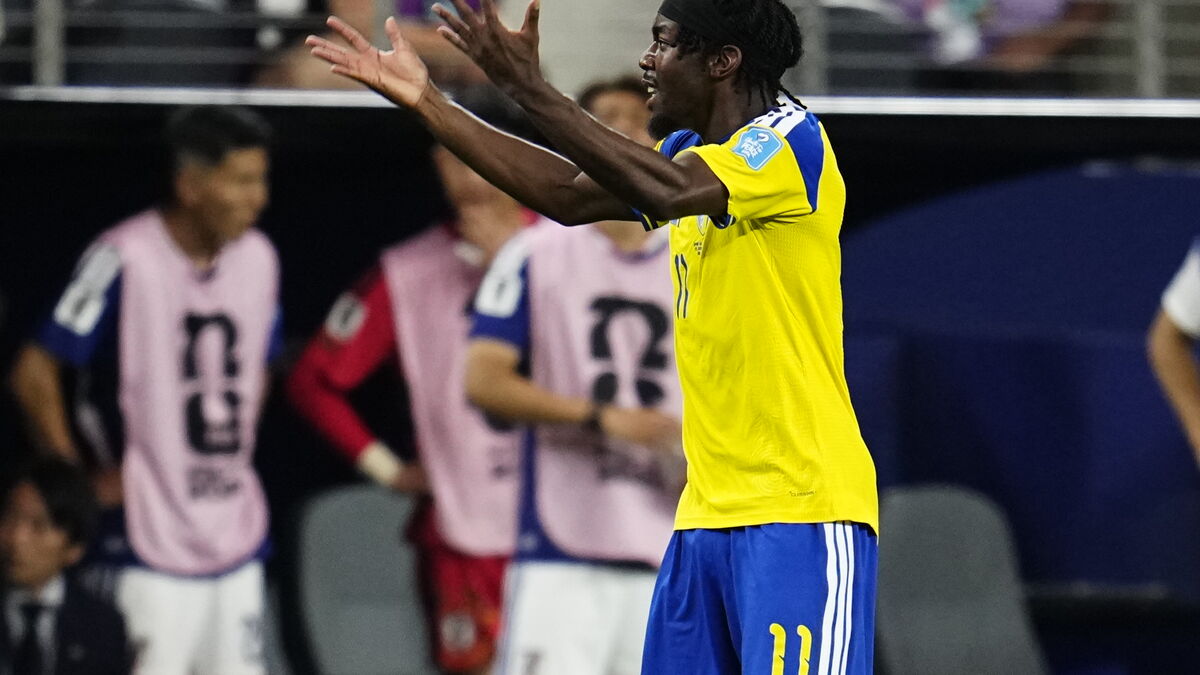 The hero's mistake: Anthony Elanga says I didn't know we were further along as Sweden advance