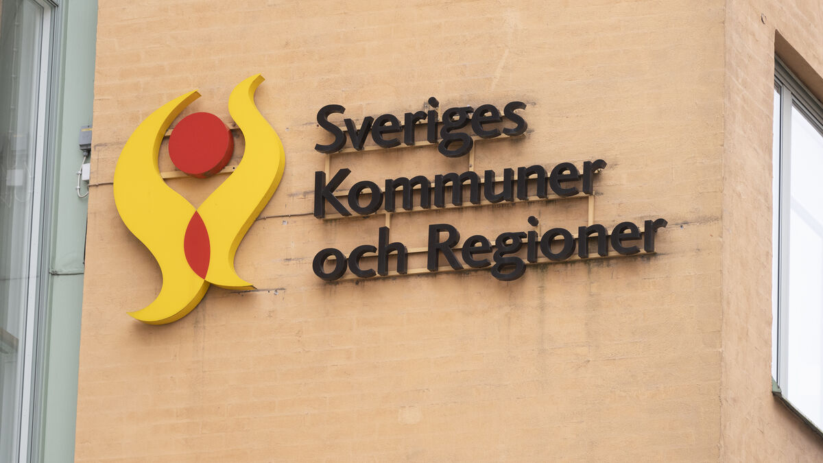 Government to investigate municipal auditors