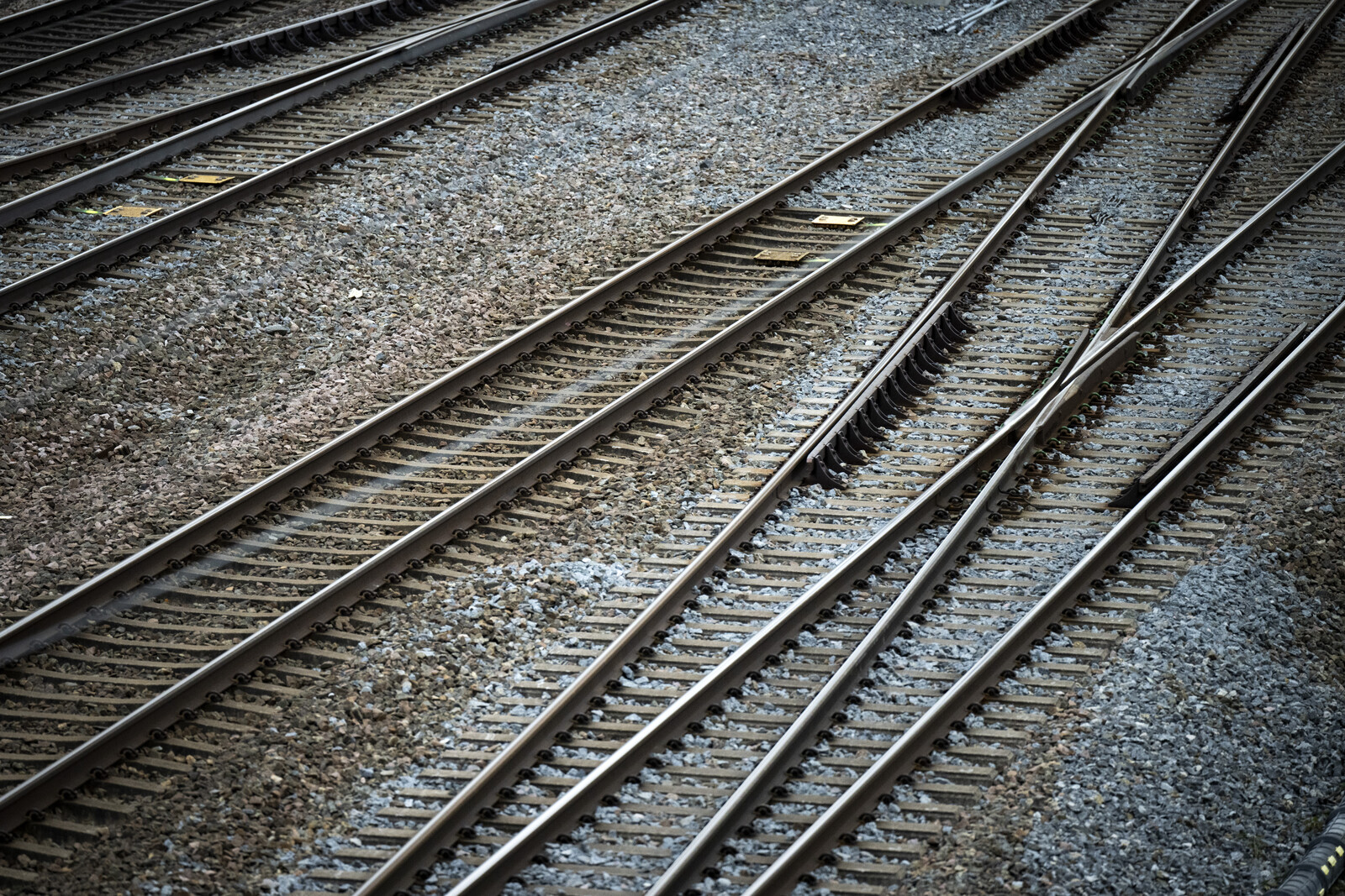 Train and Car Collision Halts
