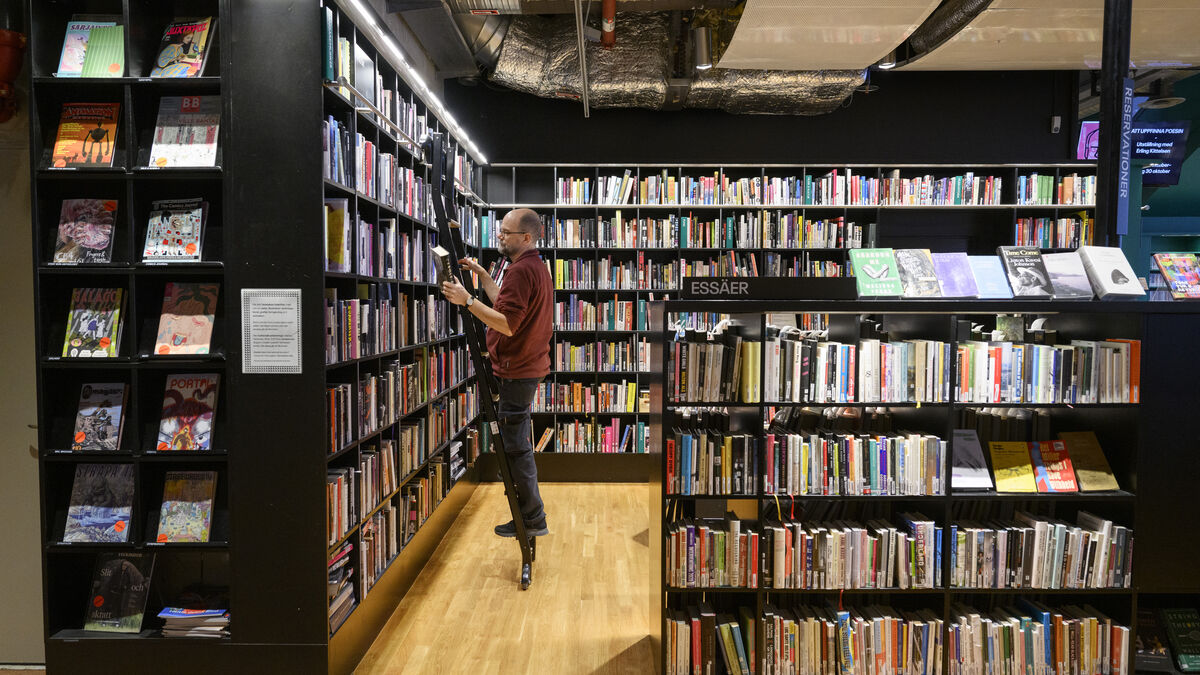 Swedish Writers' Union reaches compromise on AI training of authors' texts