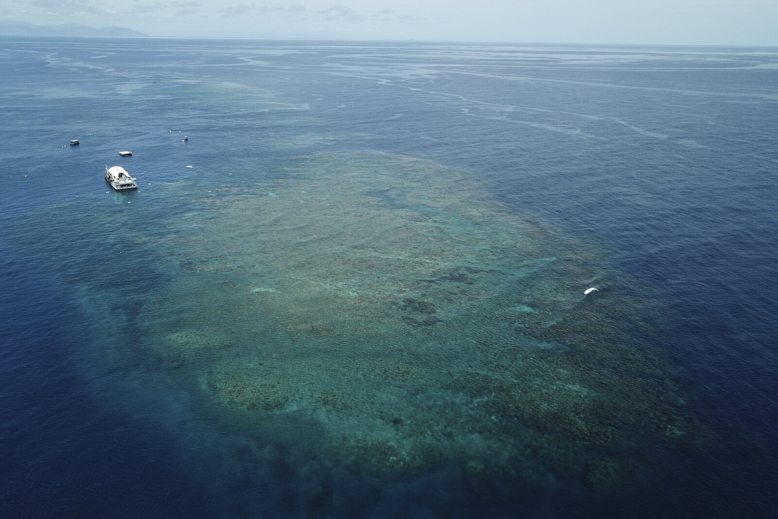 Great Barrier Reef Faces Worst