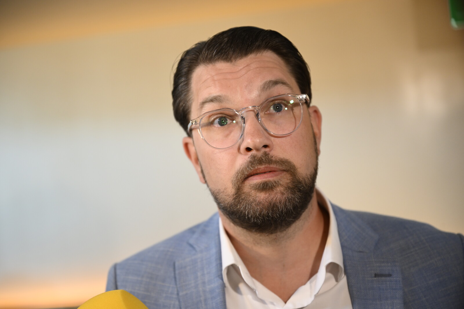 SD Calls for Inquiry into Social Democrats' Business Network
