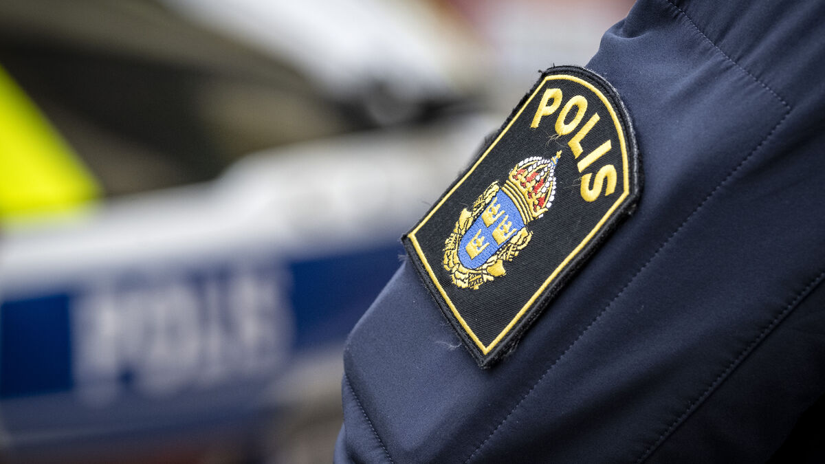 17-year-old sentenced in Malmö for