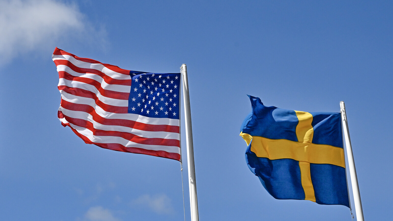 Trump's choice of Sweden ambassador