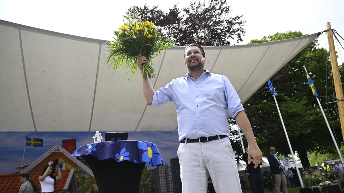 A man was wrestled down next to Jimmie Åkesson at Almedalen