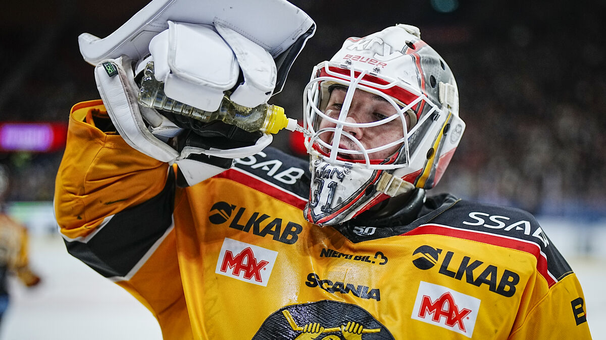 Reigning champion Luleå through to