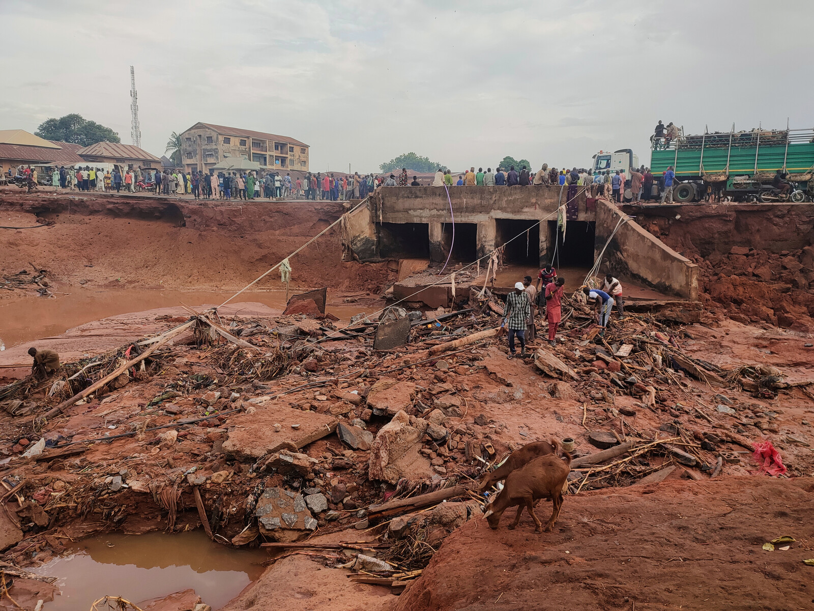 Over 200 Dead in Nigeria