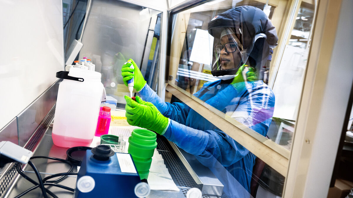 The worst infections are hunted at the safety laboratory in Stockholm