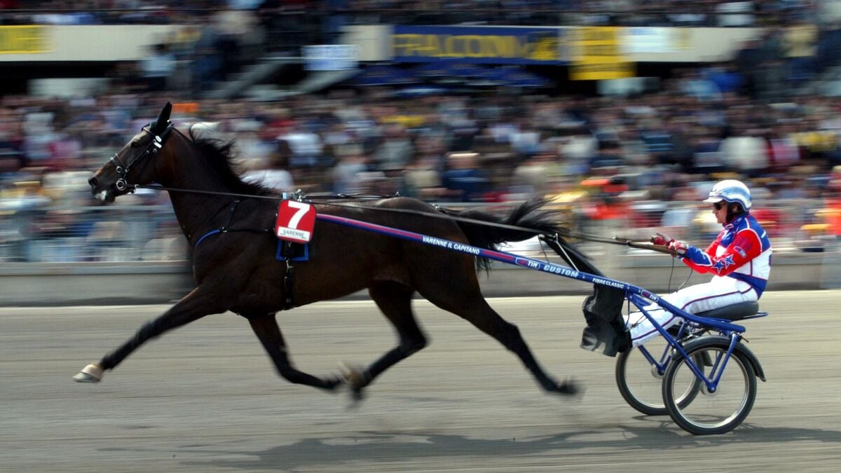 Legendary trotting horse Varenne dies at 31, earned 52 million kronor