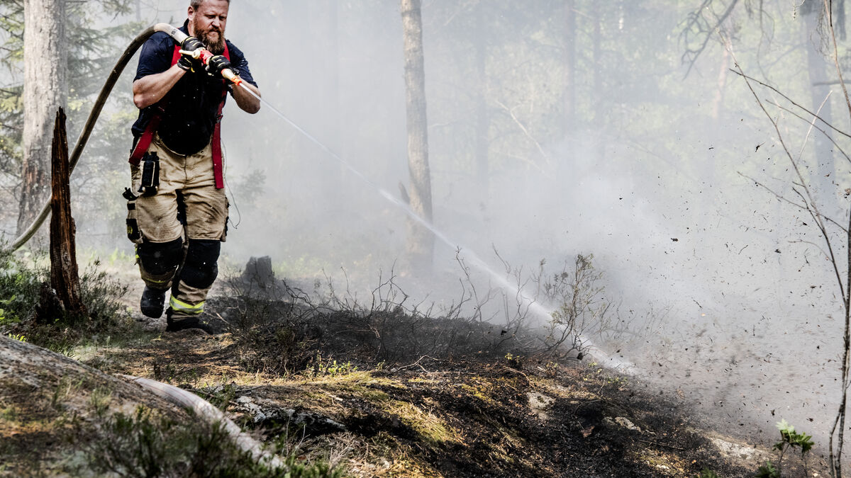SMHI warns of high to extremely high wildfire risk in large parts of Sweden