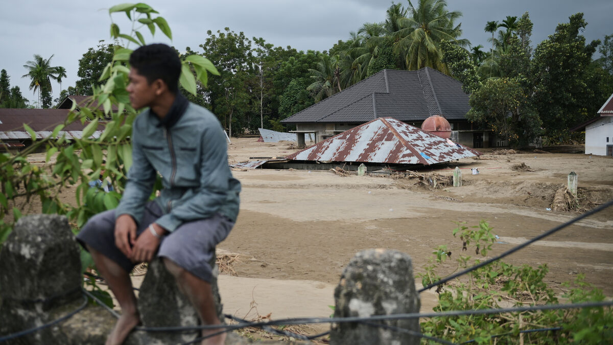 Over 700 dead in Indonesia's