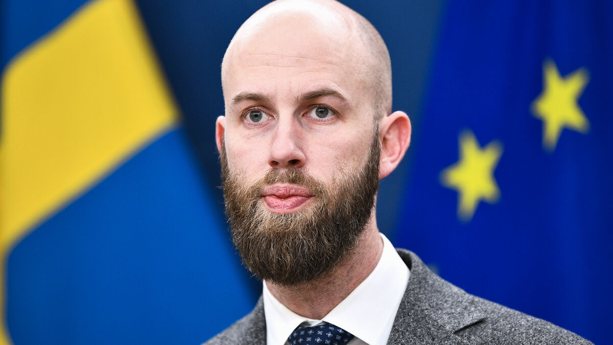 Swedish-donated ships have not yet arrived in Ukraine