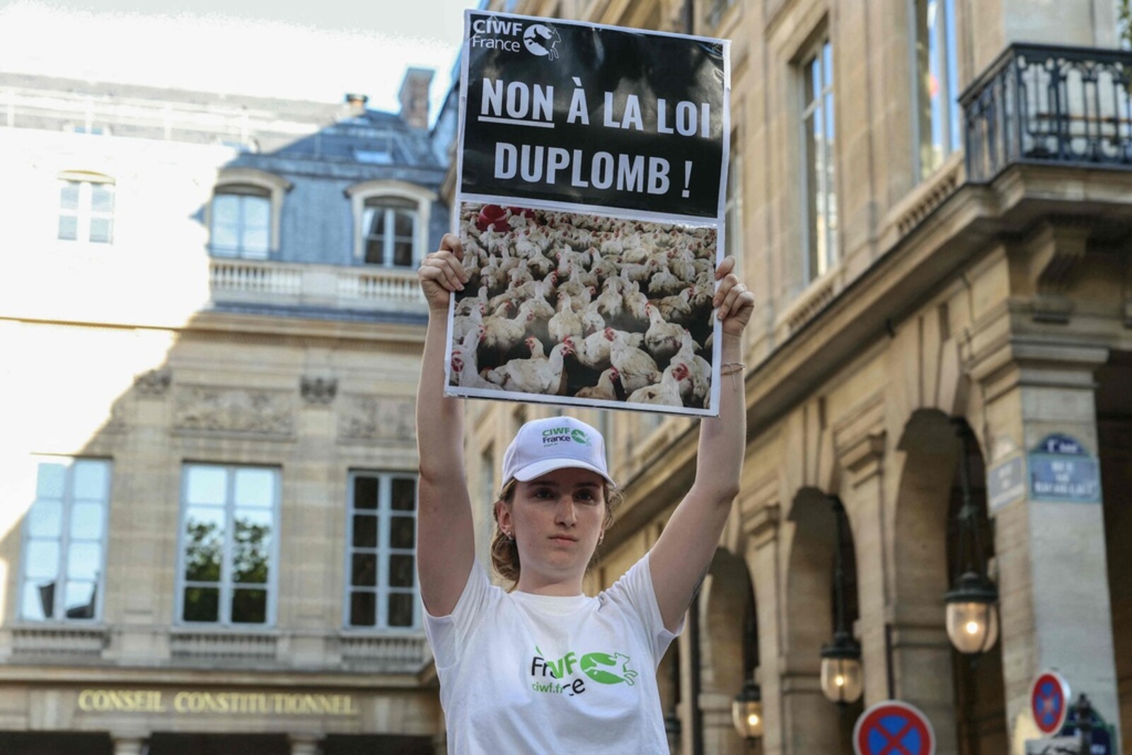 France's Constitutional Council Blocks Controversial