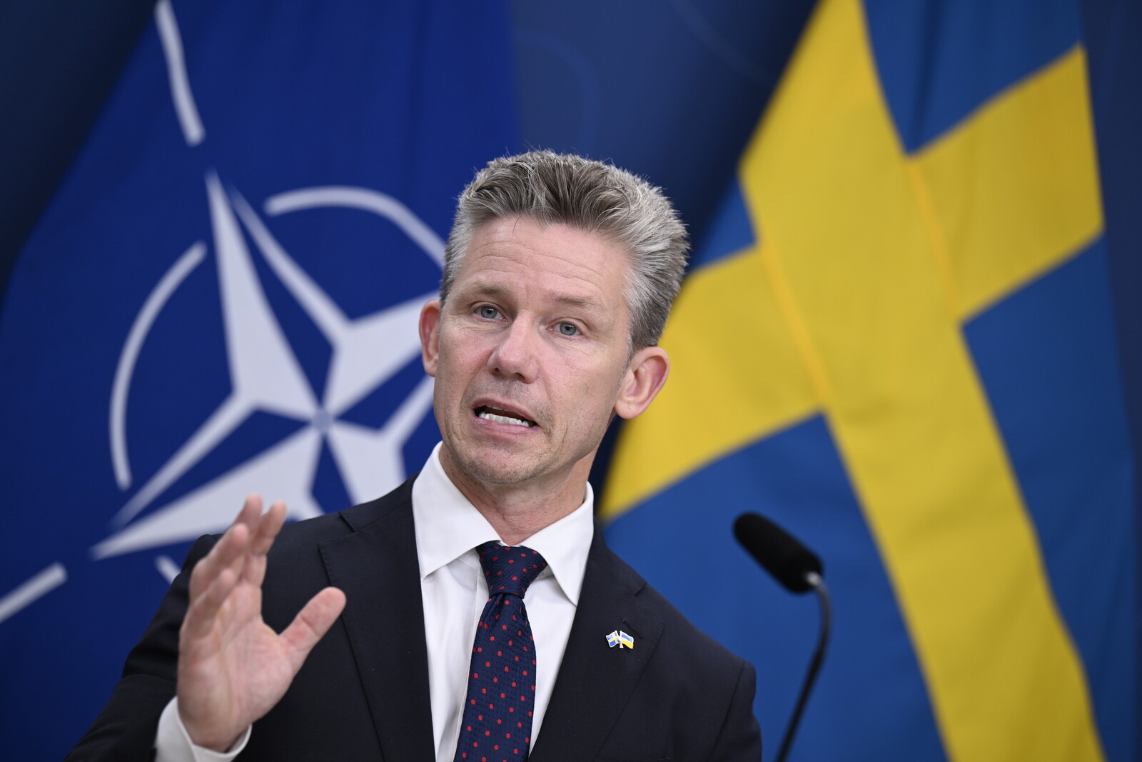 Defense Minister: Sweden Ready to