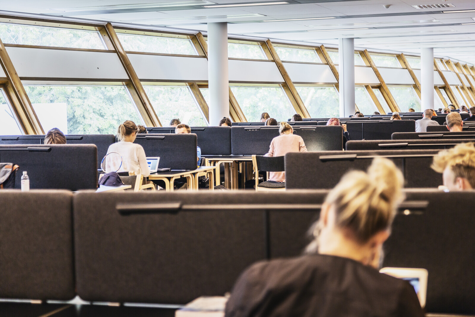 Universities Criticize Government's Citizenship Test Assignment