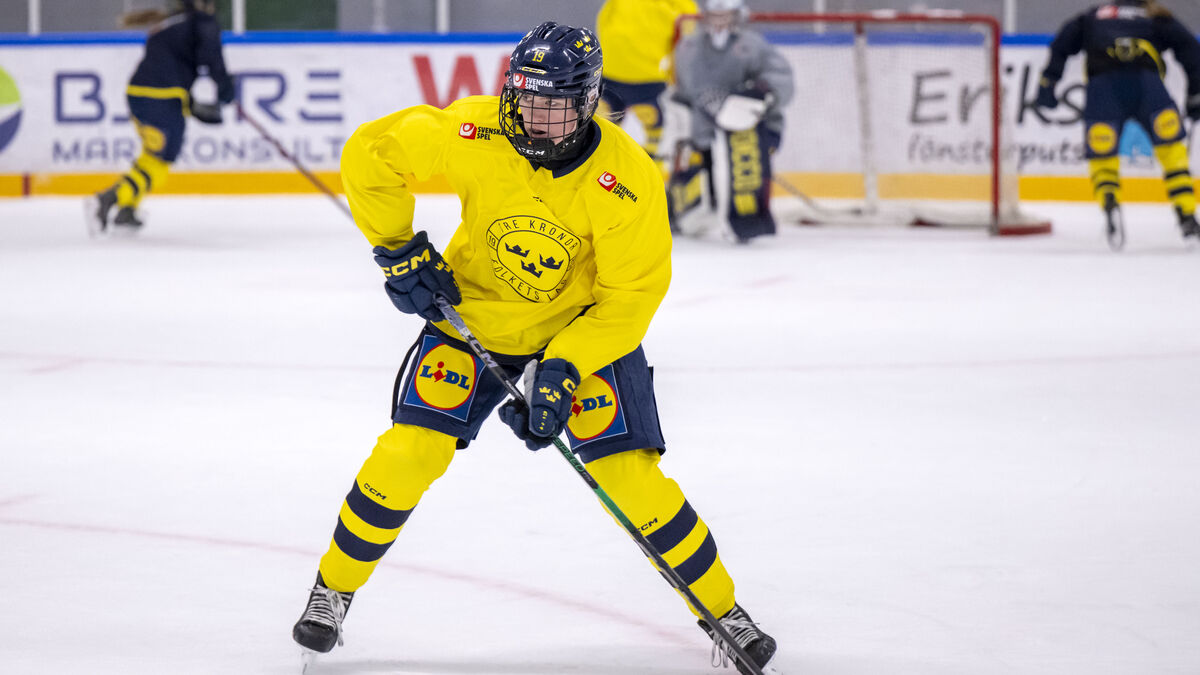 Best in Sweden – auditions