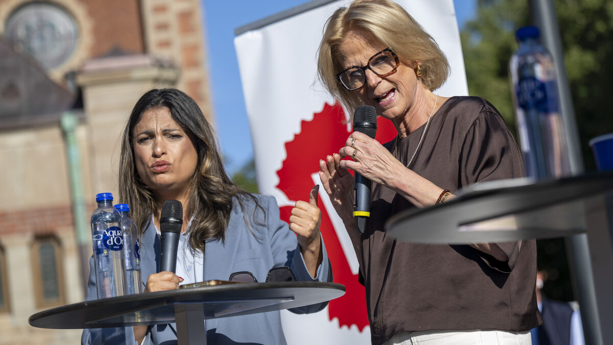 Svantesson and Dadgostar clash over food prices and accuse each other of communism