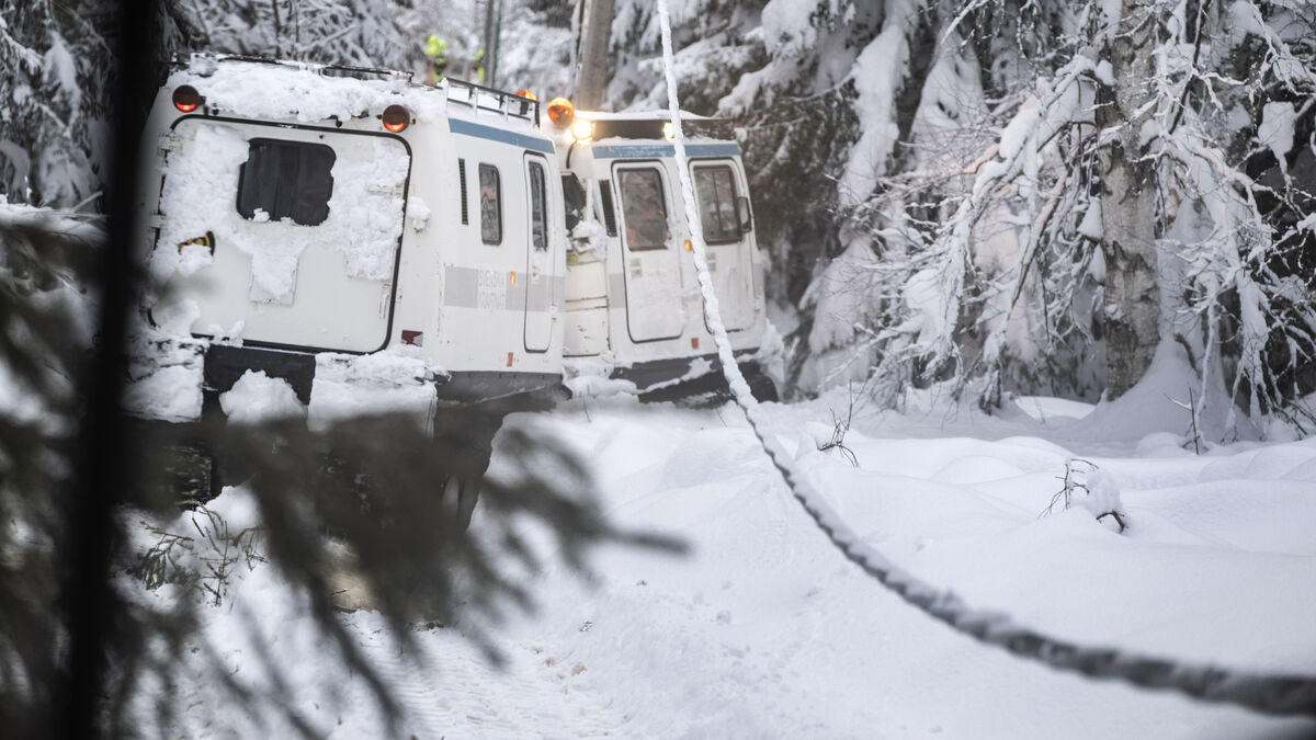 Long power outages in recent weeks - worst since Storm Gudrun