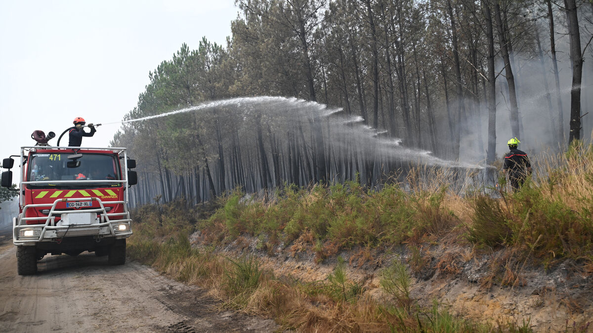 France fires: 162 arrested on