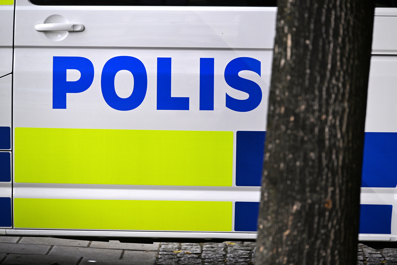 Man in His 90s Dies in Arbogaån Drowning Accident