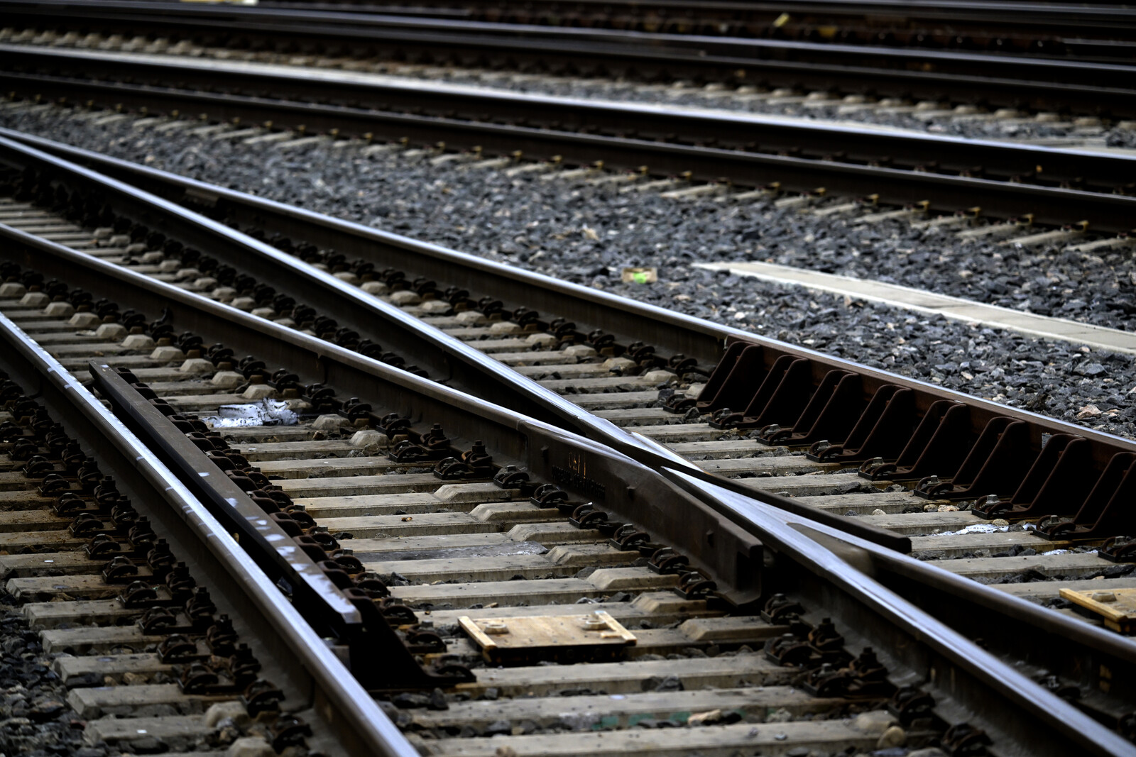 Nybro Employee's Forgotten Documents on Train Not Deemed Misconduct