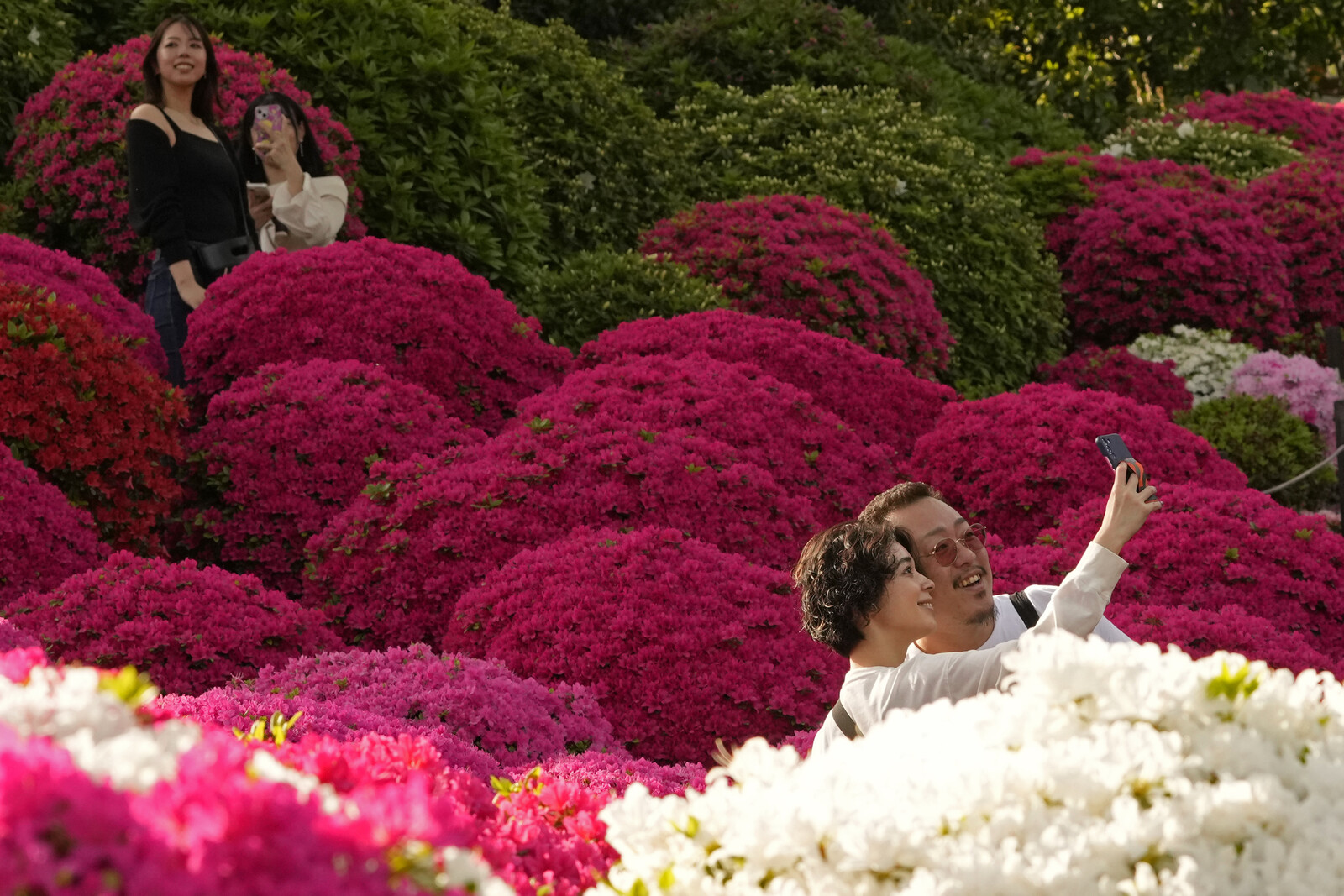 Japan Sets Tourist Record - Attracts increasing number of tourists