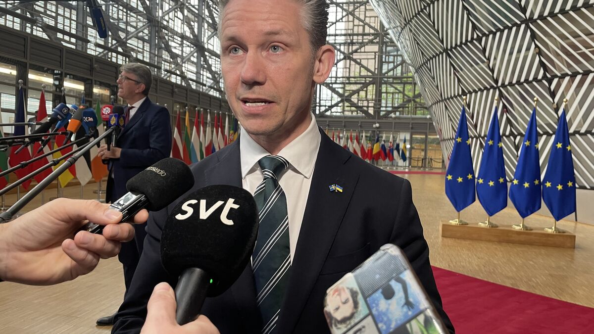 Pål Jonson: EU army not