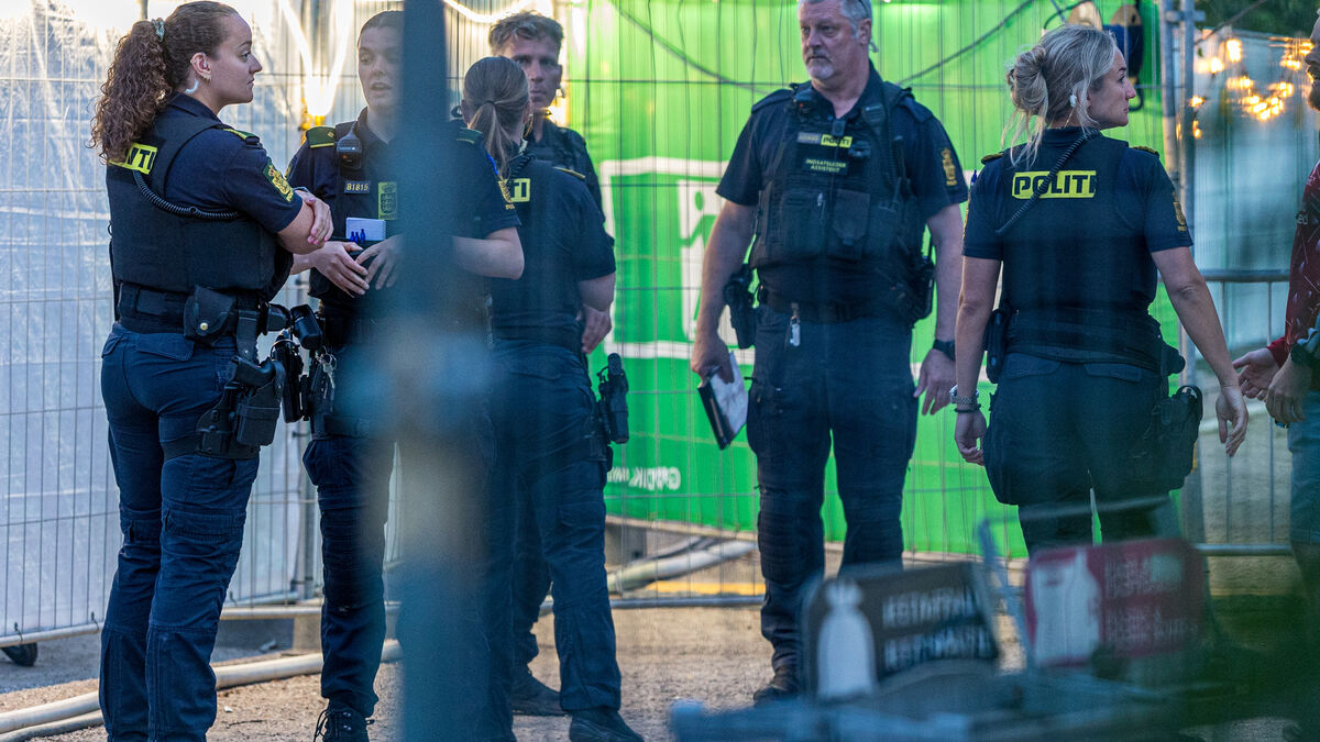 Swedish police officer dies after assault in Copenhagen, man remanded in custody