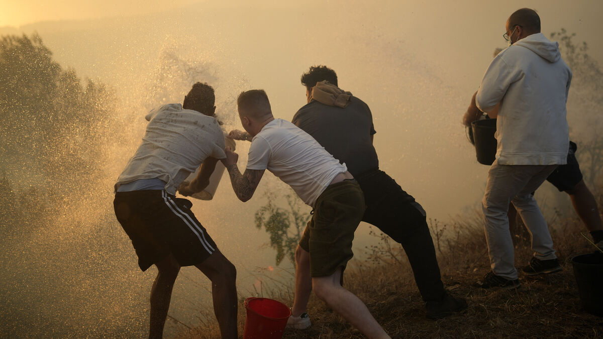 Air Quality Improves Across Europe, but Wildfires Drive Pollution Spikes in Some Regions