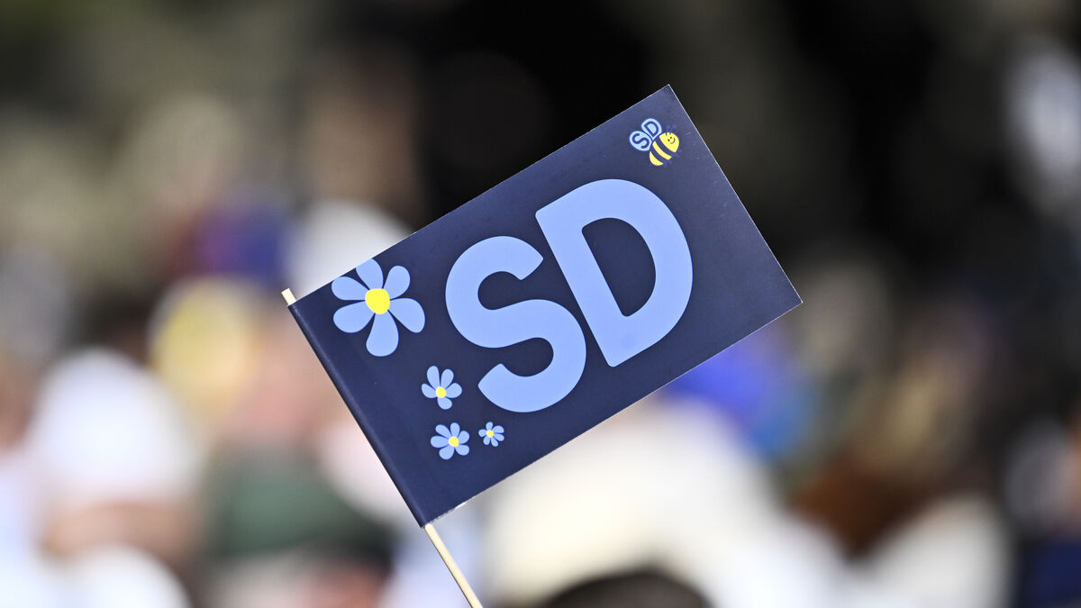 Stina Isaksson expelled from Sweden Democrats after flyer scandal