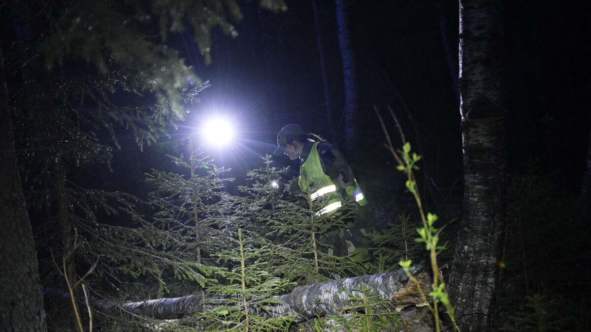 Missing two-year-old found alive in Nyåker, family says they are so relieved