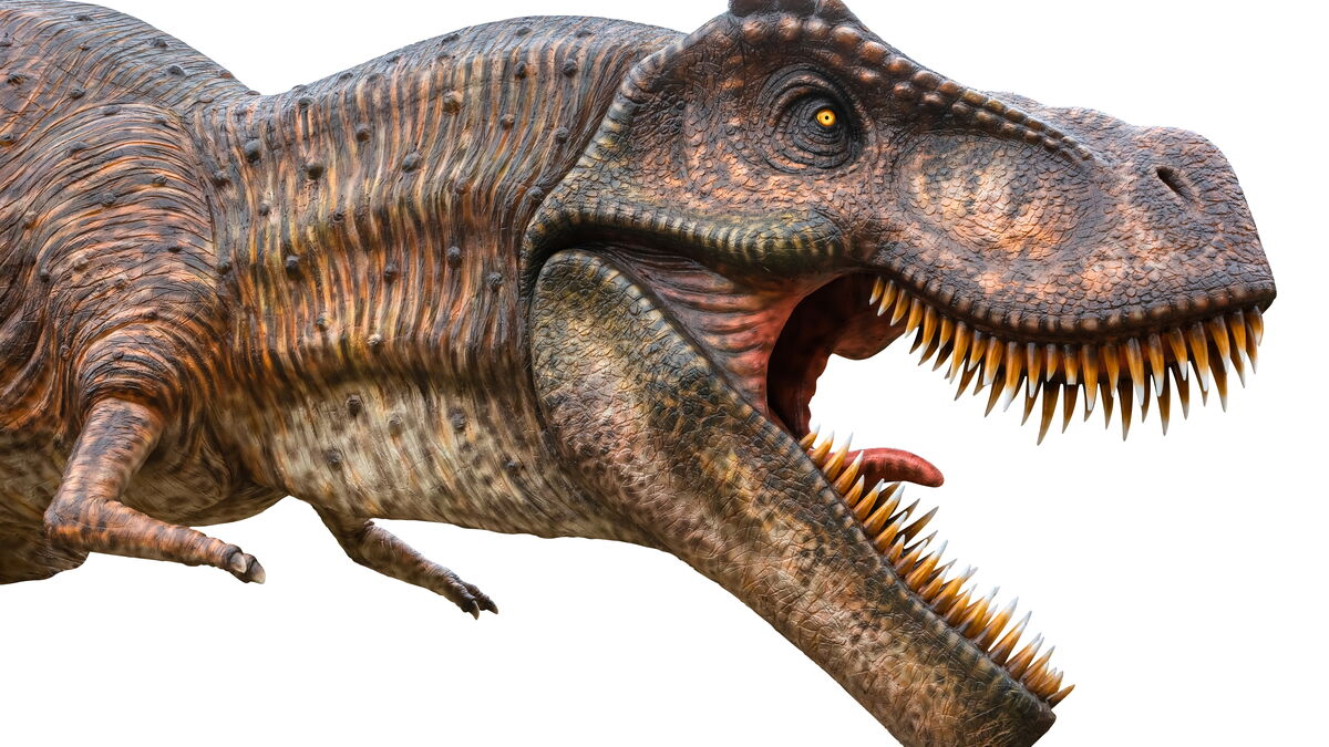 Why T. rex had such tiny arms, according to new research