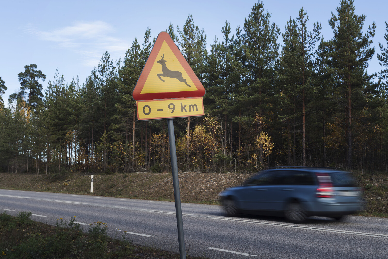 Stress factor behind the increase in wildlife accidents