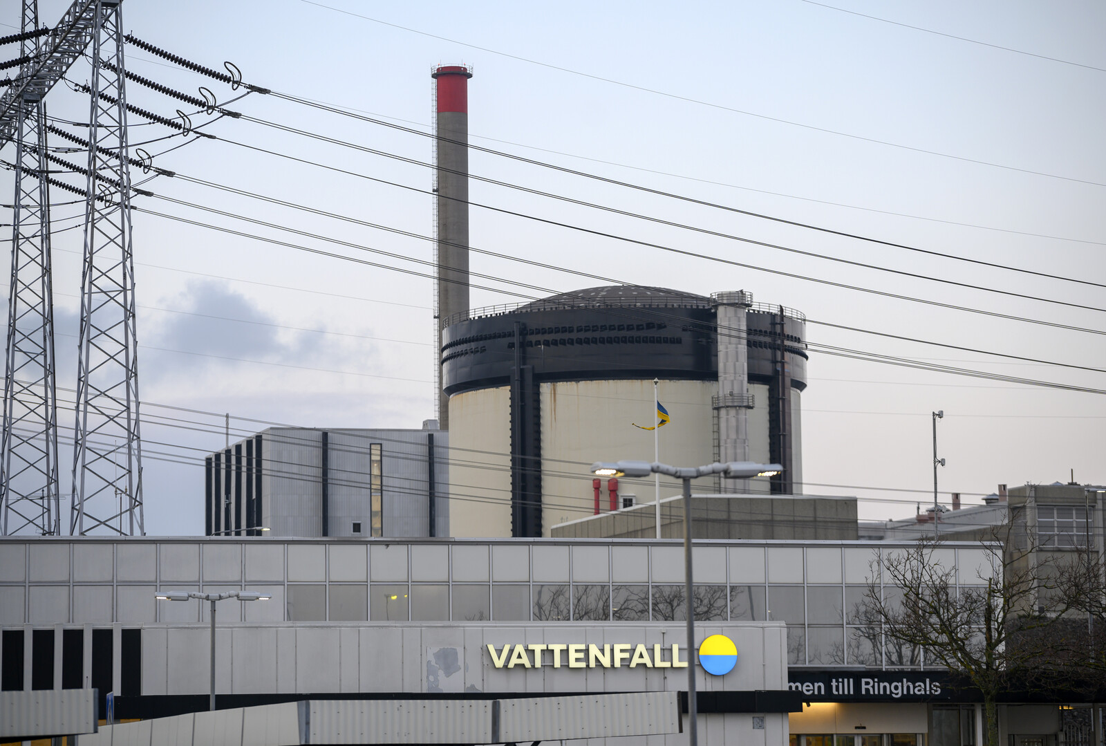 Nuclear Power to Replace Nature Reserve