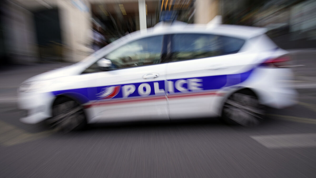 Two brothers arrested in France