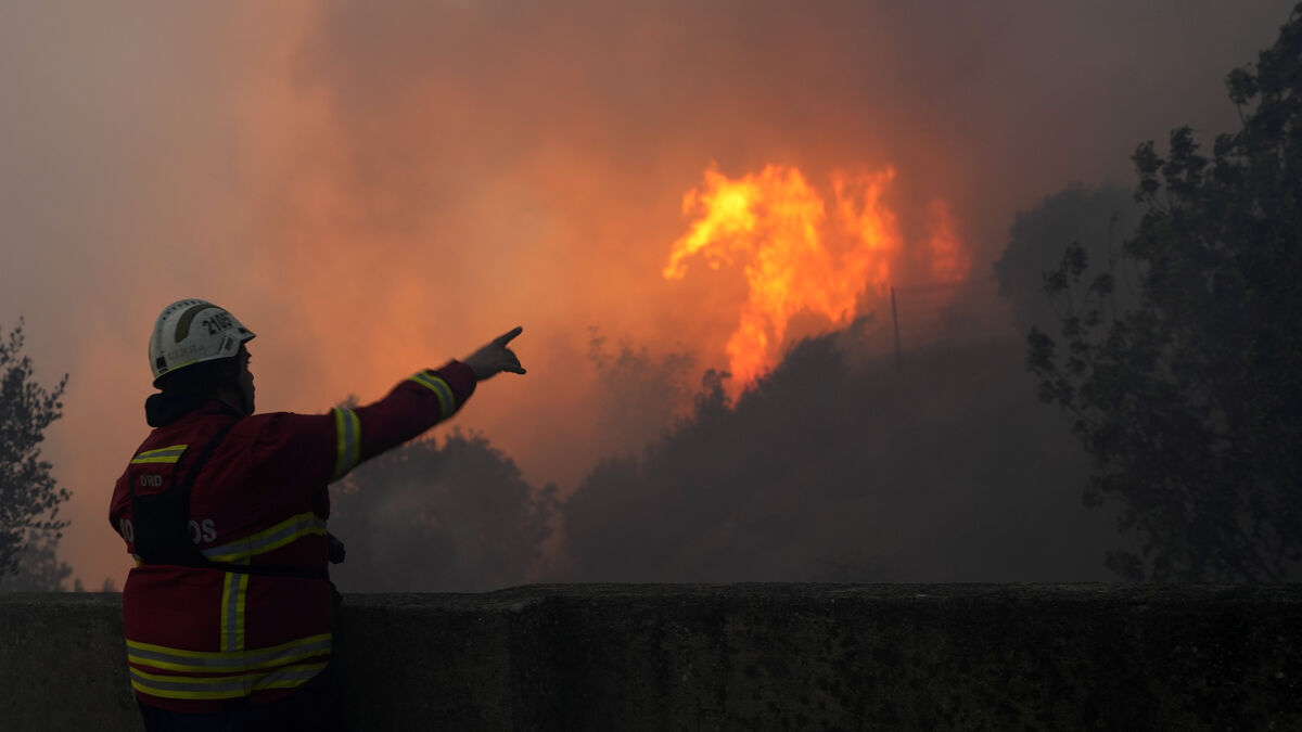 Foreign reinforcements arrive as wildfire