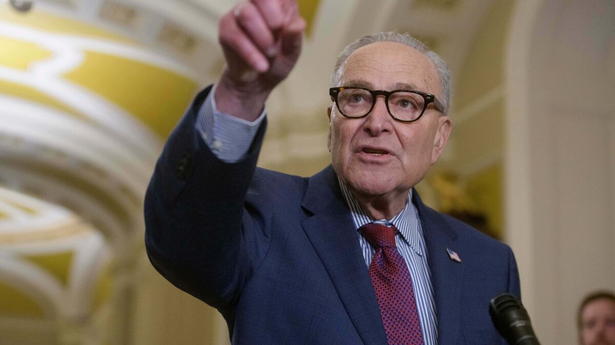 Top Democrat: Will try to