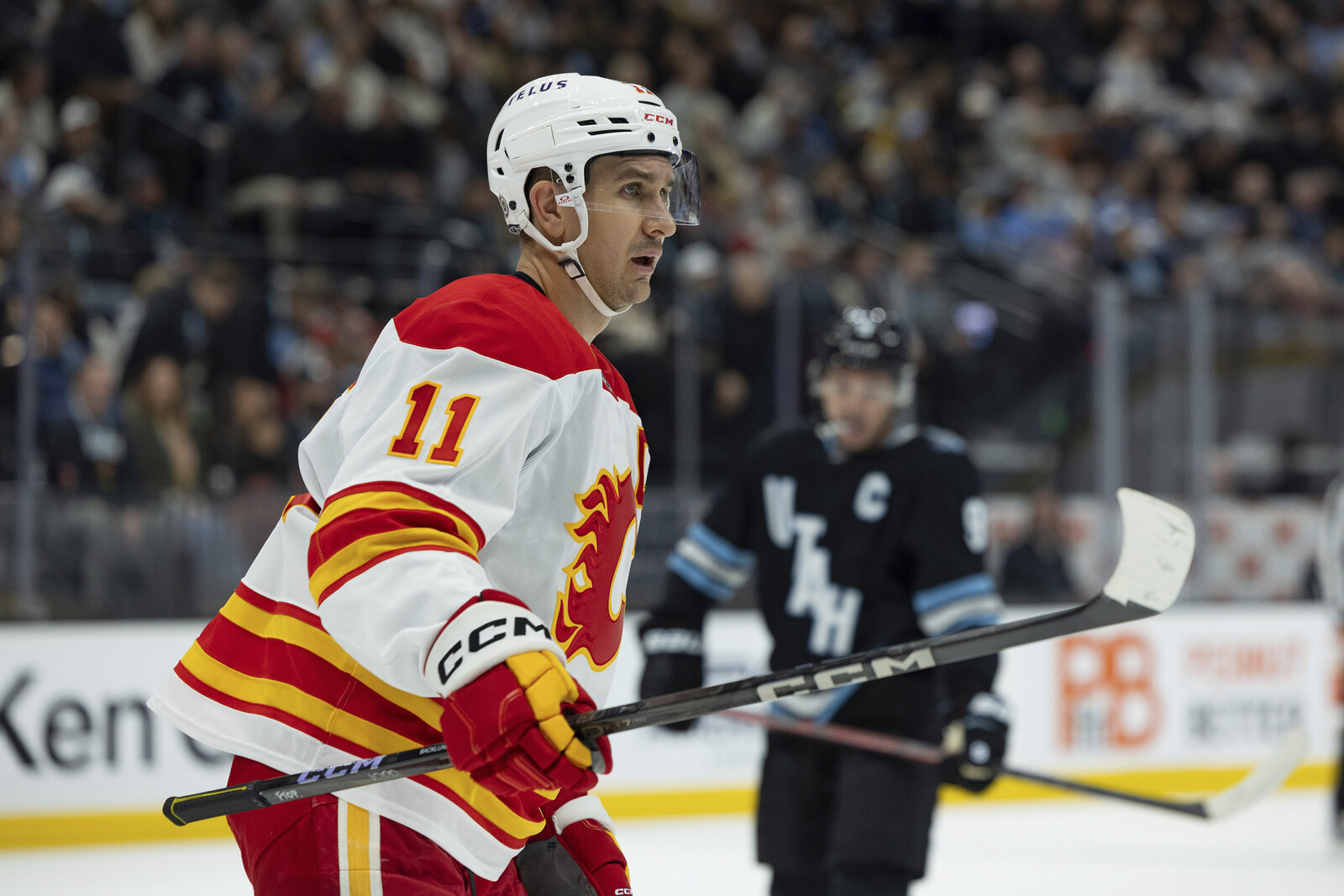 Swedish NHL fighter reached 1,000 matches