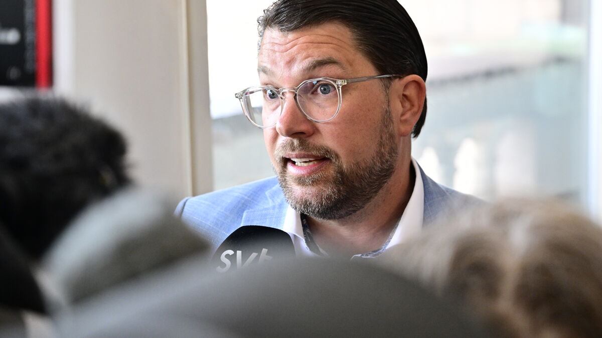 Jimmie Åkesson's bestseller bought by SD subsidiary