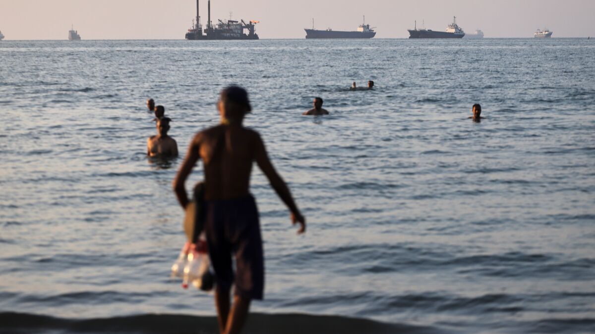 Scientists warn stranded ships in