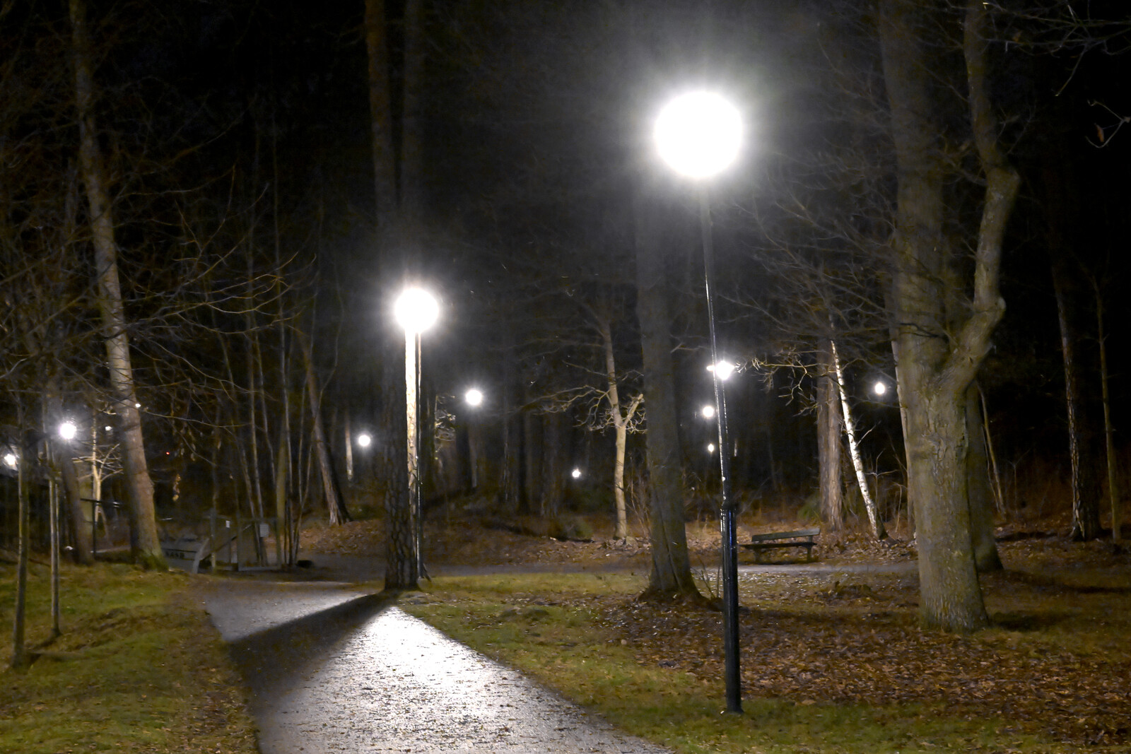 Woman Reports Rape Near Gullmarsplan in Stockholm