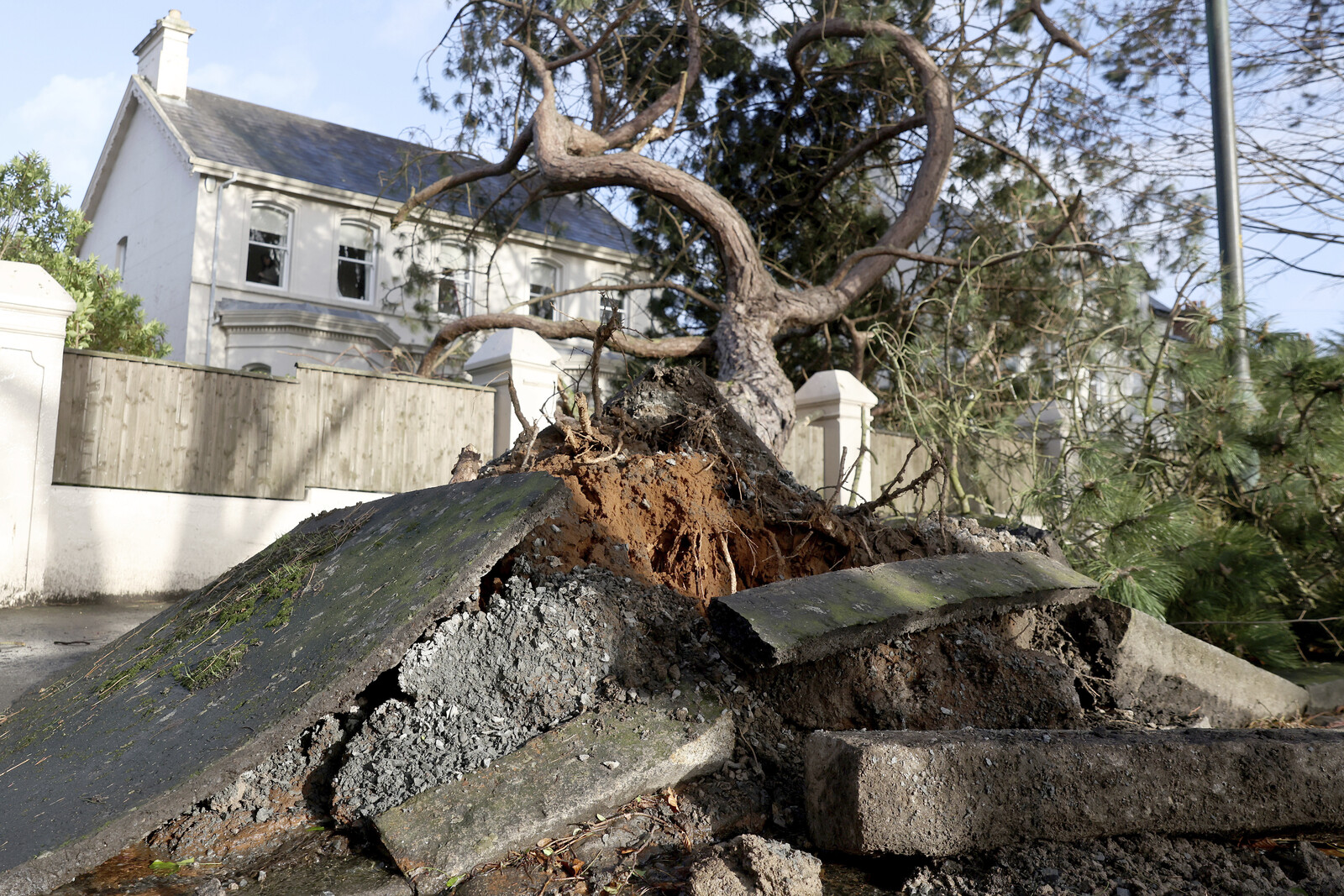 The Hurricane Winds Thundered in