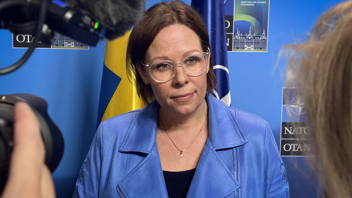 Sweden concerned others will reduce support for Ukraine after EU €90 billion loan