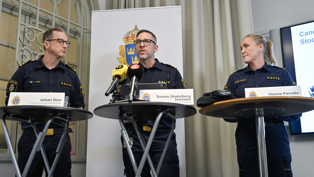 Find in Western Sweden reveals