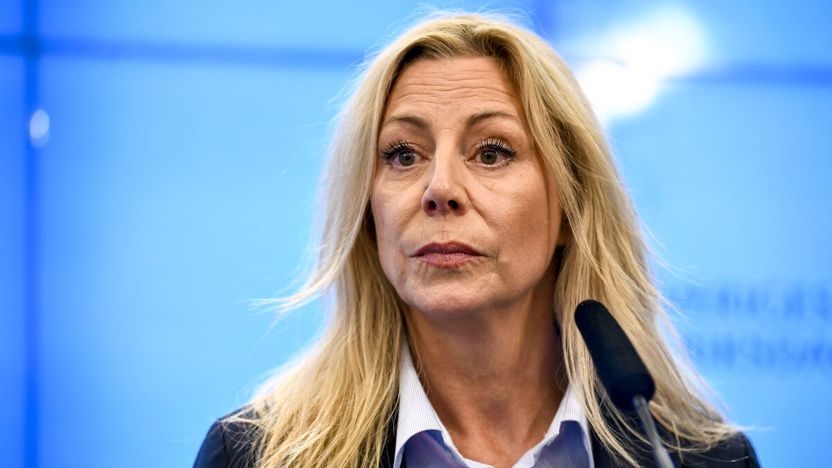 Sweden Democrats forced to urgently recall MP after resignation