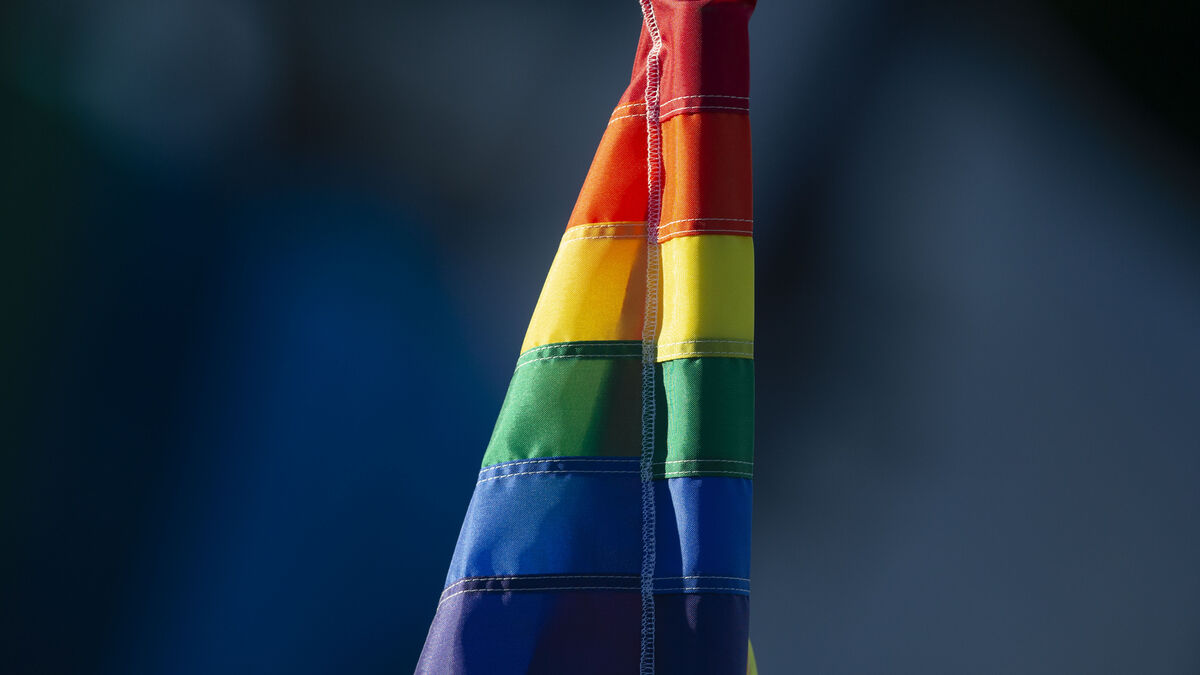Met with vomit emojis and mockery - support helps LGBTQI people online