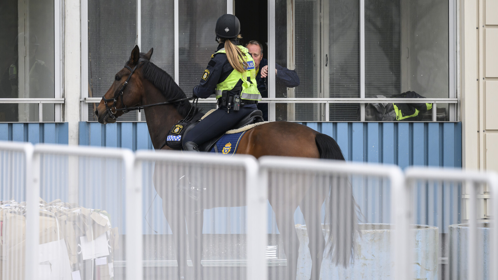 The Woman in Malmö Has