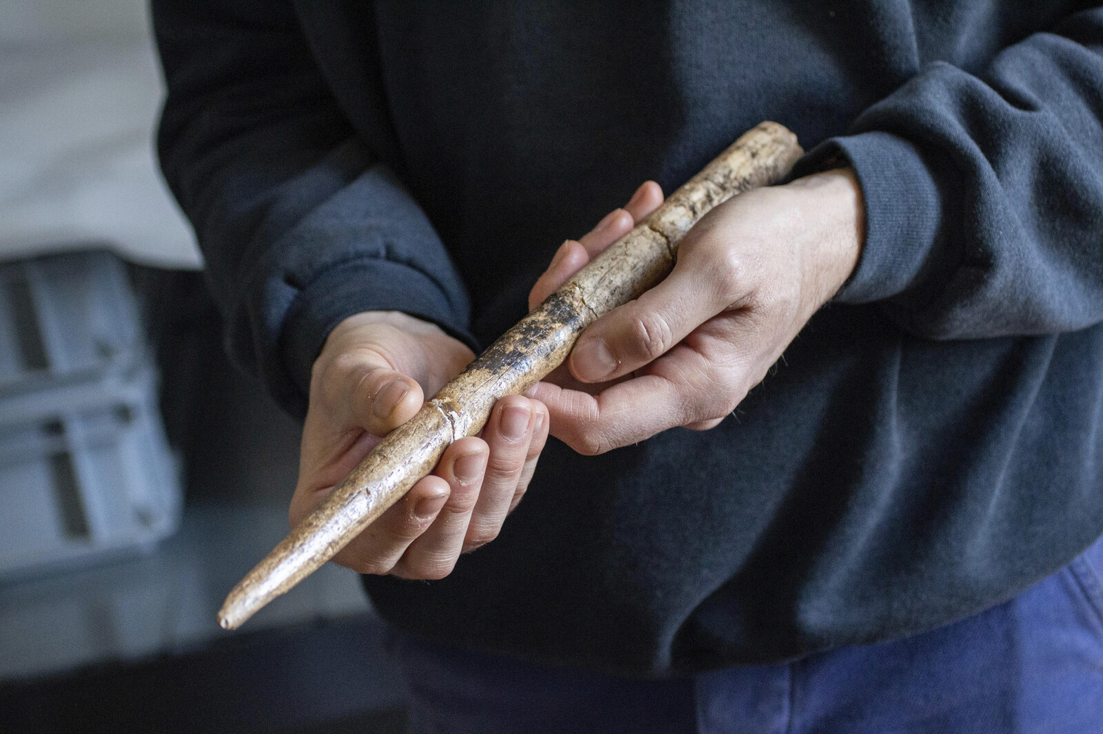 Whalebone Tools Date Back 20000 Years, New Research Reveals