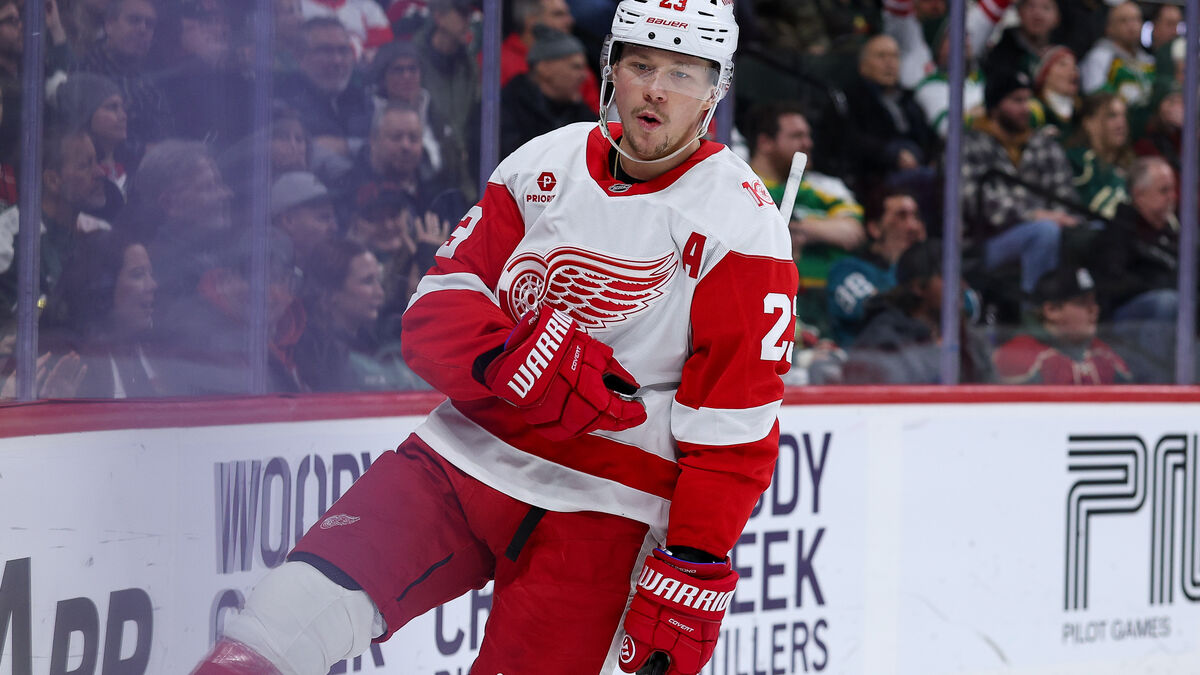 Two more NHL goals by