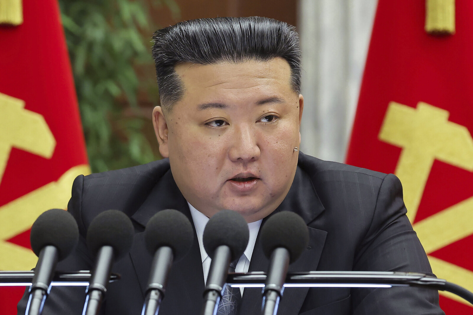 Kim: New Robot System to